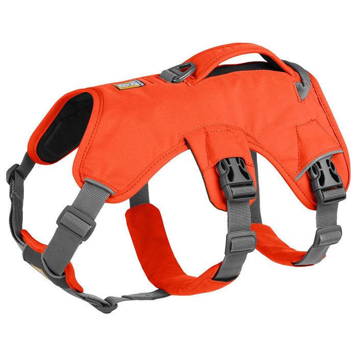 Sele Web Master XS orange