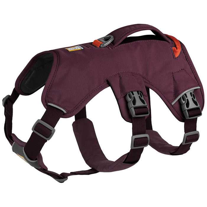 Sele Web Master L/XL lilla