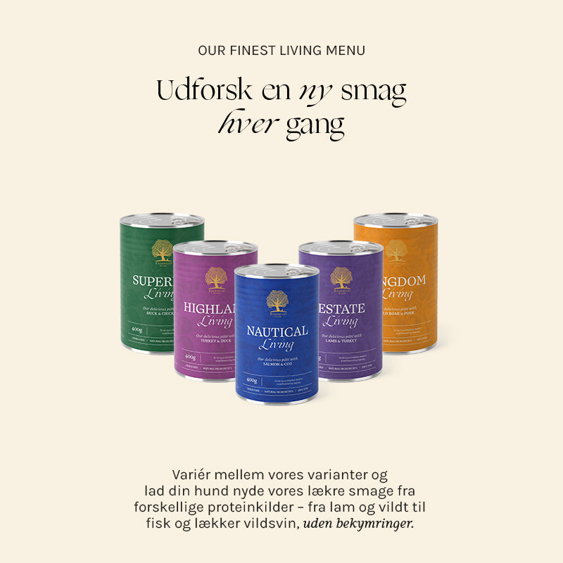Adult Paté Kingdom Living vildsvin 400 g