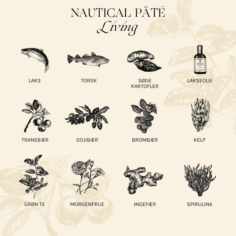 Adult Paté Nautical Living laks 400 g