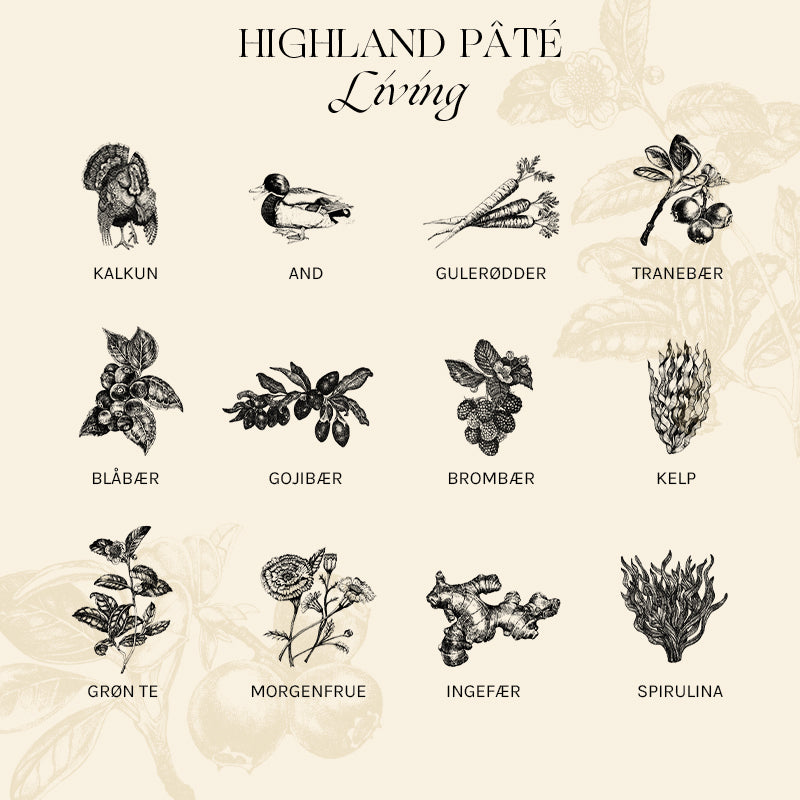 Adult Paté Highland Living kalkun & and 400 g