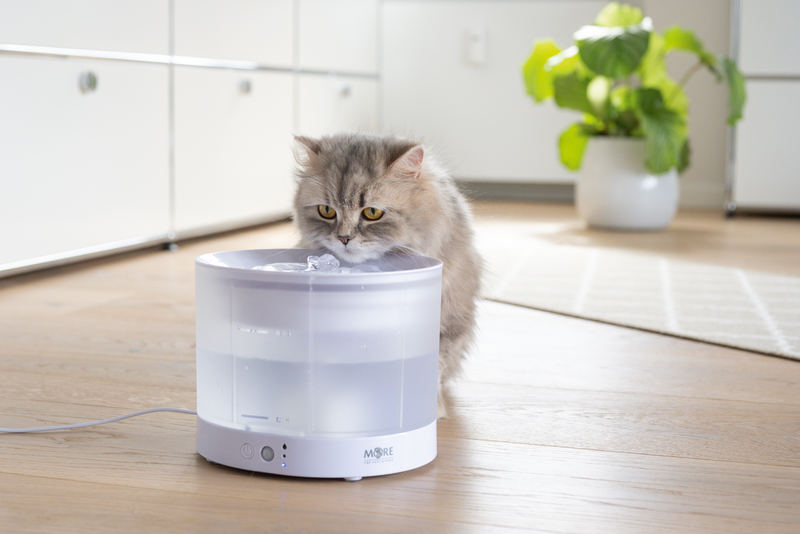 Drikkefontæne Cloud ca. 2,3 l