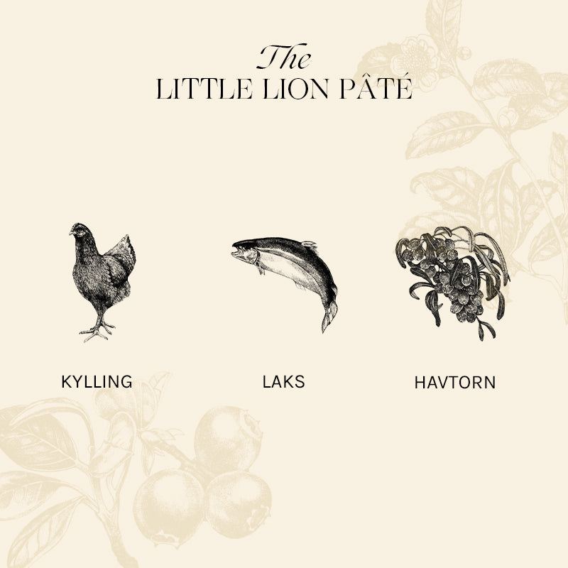 Kitten The Little Lion Pâté kylling, lever & kalkun 12x85 g