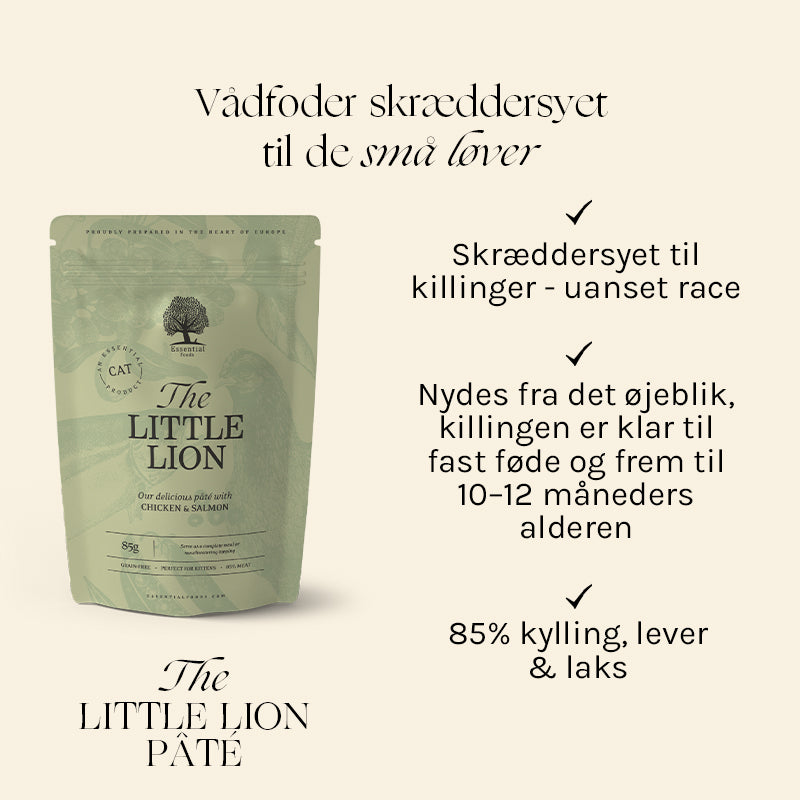 Kitten The Little Lion Pâté kylling, lever & kalkun 12x85 g