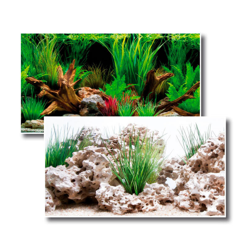 Akvariebaggrund Wonder 30x60 cm - Maxi Zoo Danmark
