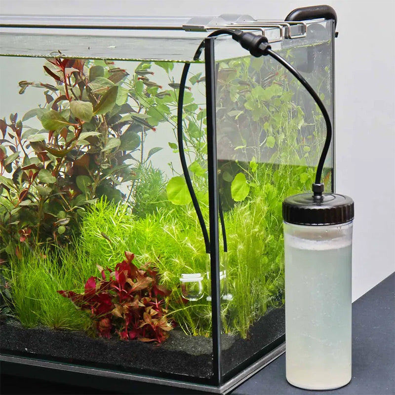 Proflora Co2 Basic Bio Sætakvarier 40-80 l - Maxi Zoo Danmark