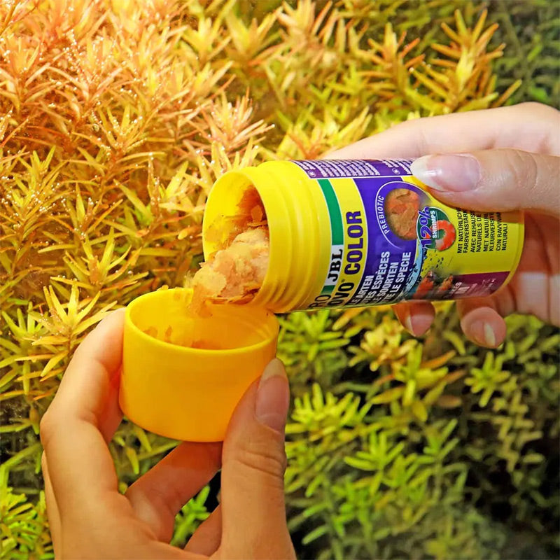 Pronovo Color Flagerm 250 ml