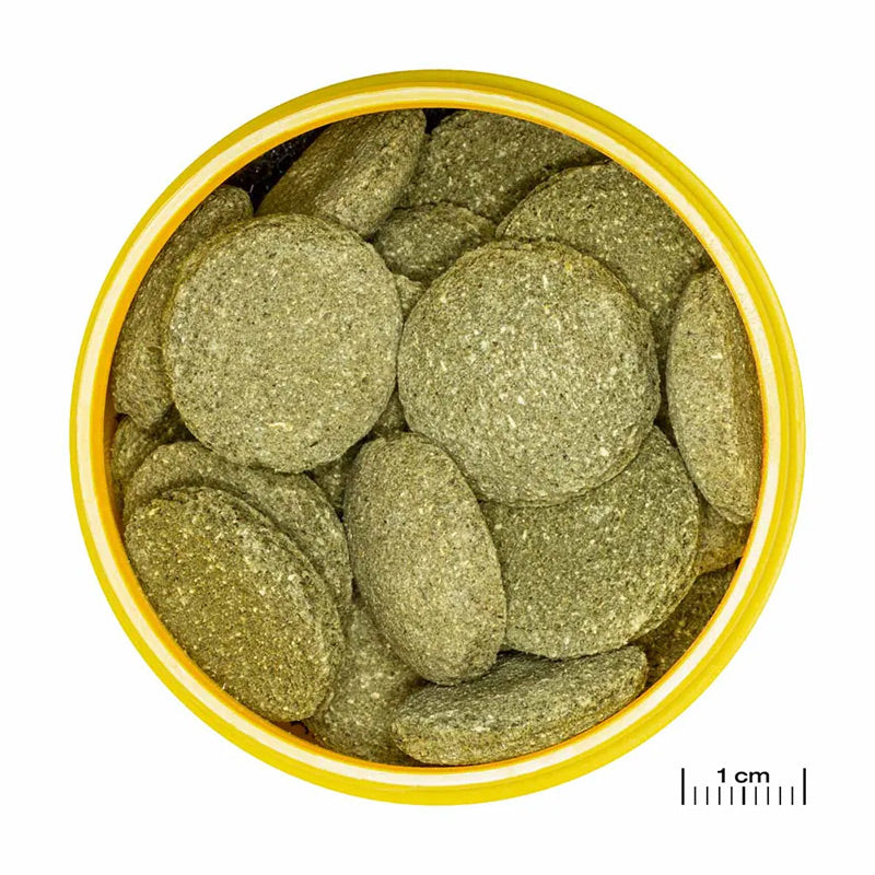 Pronovo Pleco skægfisk tabl. XL 250 ml