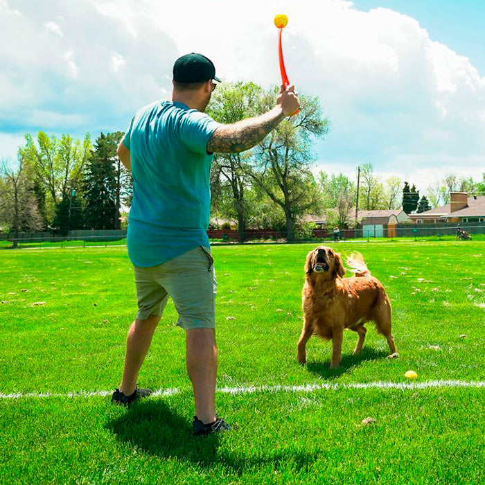 Flingerz m/bold 49 cm