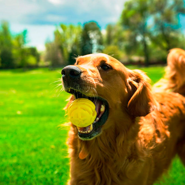 Flingerz m/bold 49 cm