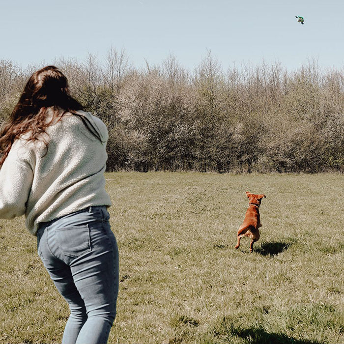 Flingerz m/Splash Skildpadde 46 cm