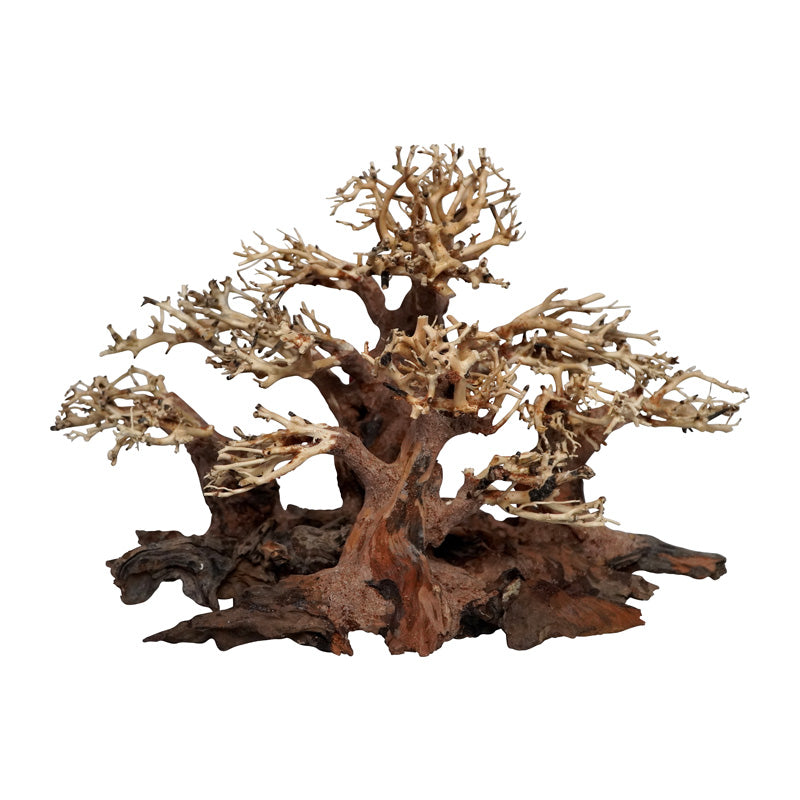 Trærødder Mini Forest 30x16x20 cm