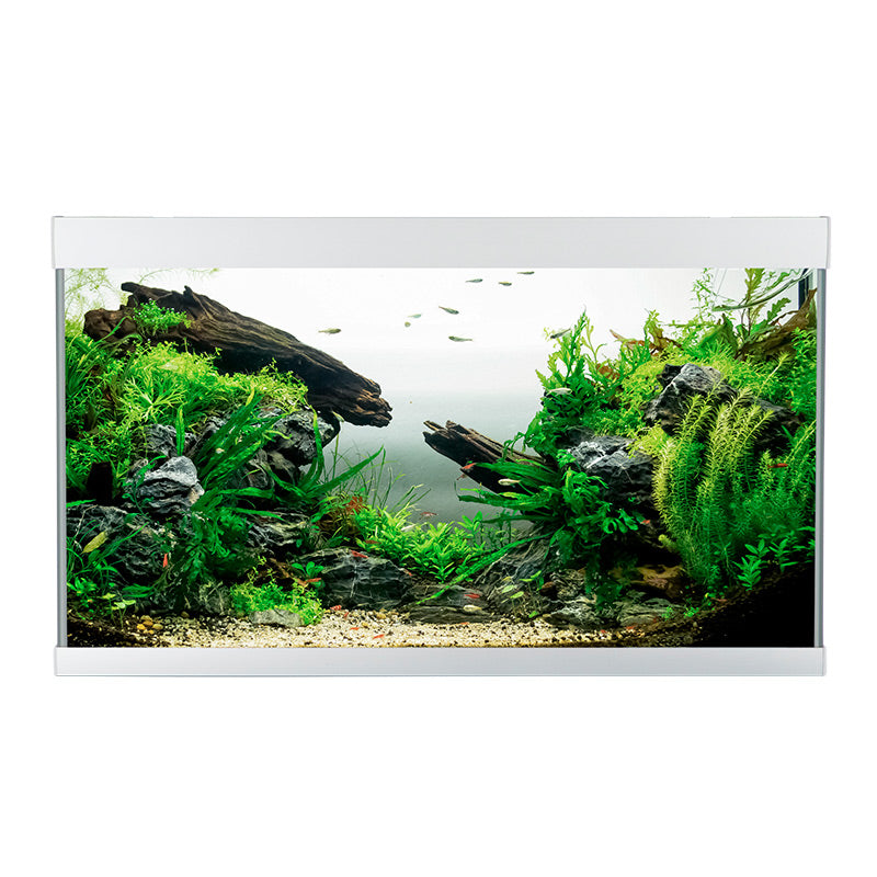 Akvarium ELEMENT 144 l 80x40x48 cm sølv