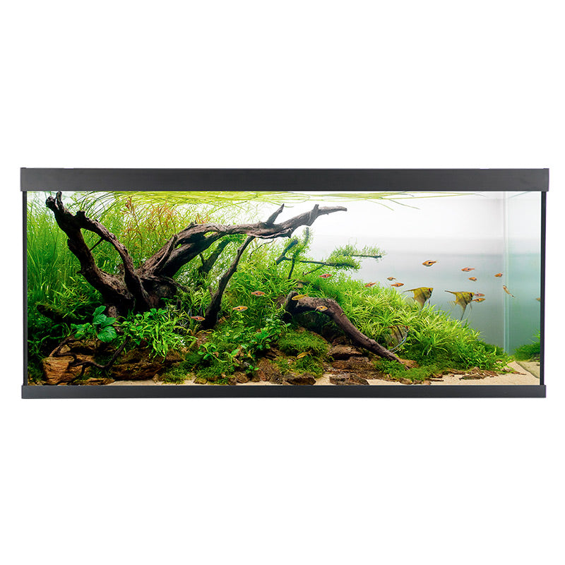 Akvarium ELEMENT 240 l 120x40x53 cm sort