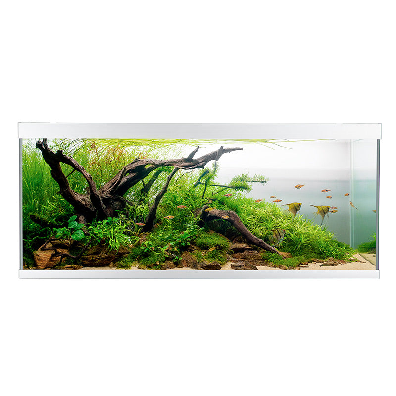 Akvarium ELEMENT 240 l 120x40x53 cm sølv