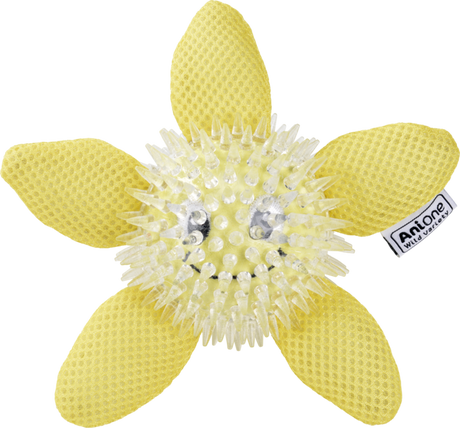 Vandlegetøj søstjerne 15 cm