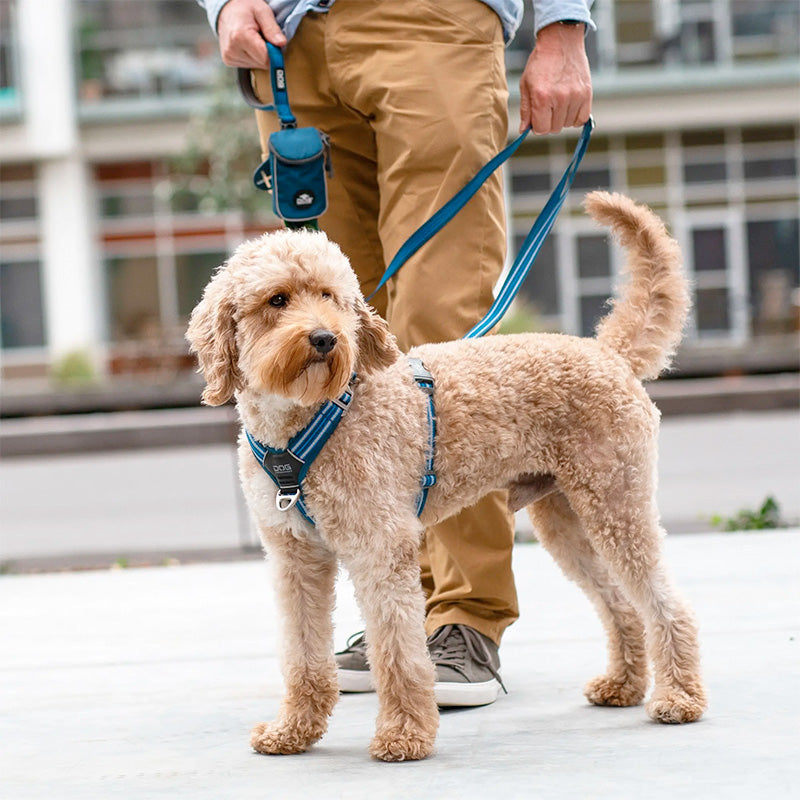 Comfort Walk Air sele Hunting-Green - Maxi Zoo Danmark
