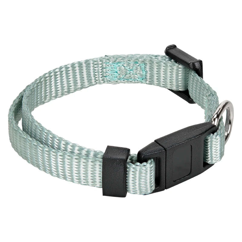 Kattehalsbånd junior16-23 cm turkis