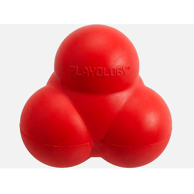 Squeaky Bounce Ball - Maxi Zoo Danmark