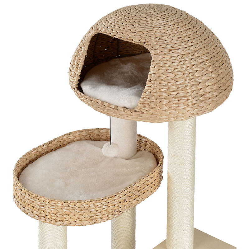 Kradsetræ Albertus 87,5x62,5x162 cm