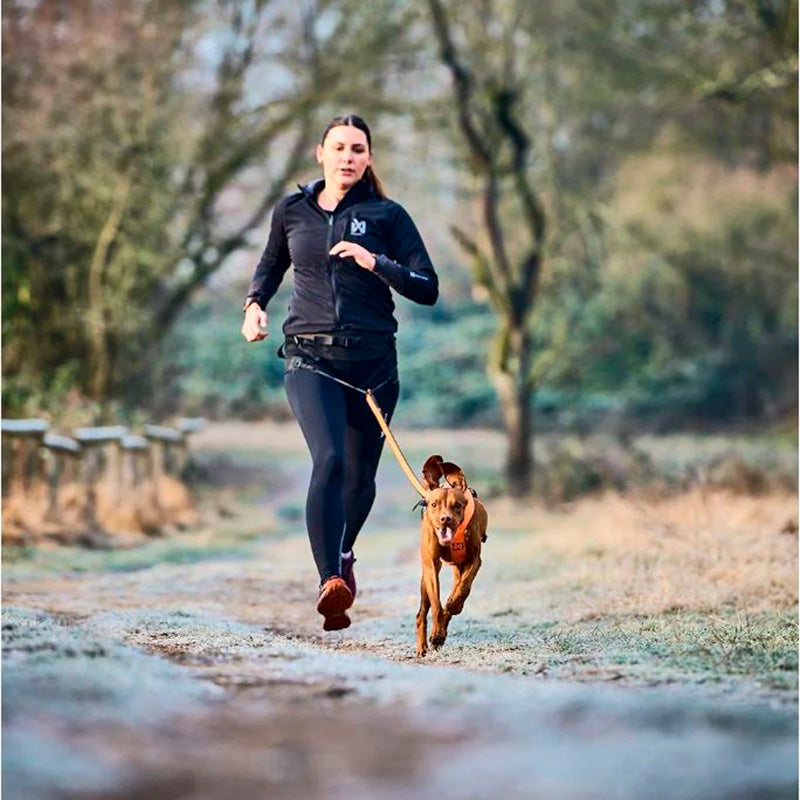 Løbebælte Canix 2 0