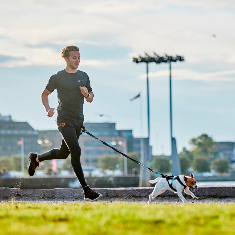 Hundeline touring bungee