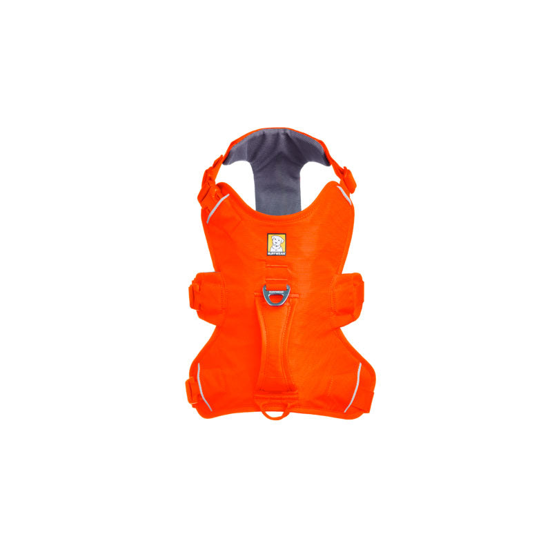 Web Master sele XS Balze Orange