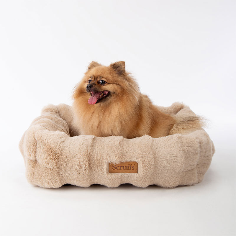 Alpine Box Bed M 60x50 cm Champagne