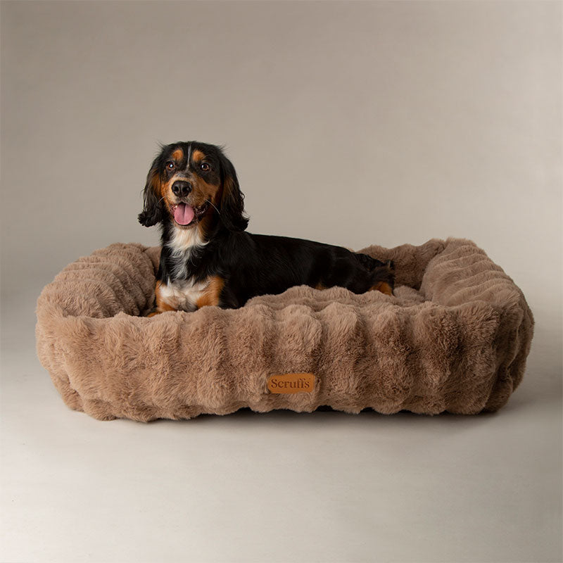 Alpine Box Bed L 75x60 cm Taupe