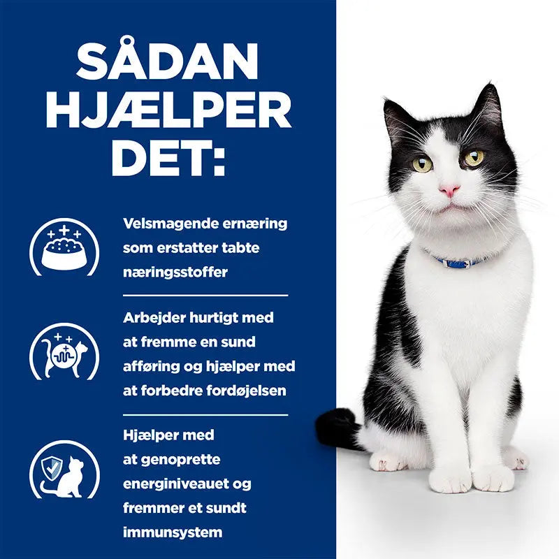 Diætetisk Feline i/d laks 12x85 g - Maxi Zoo Danmark