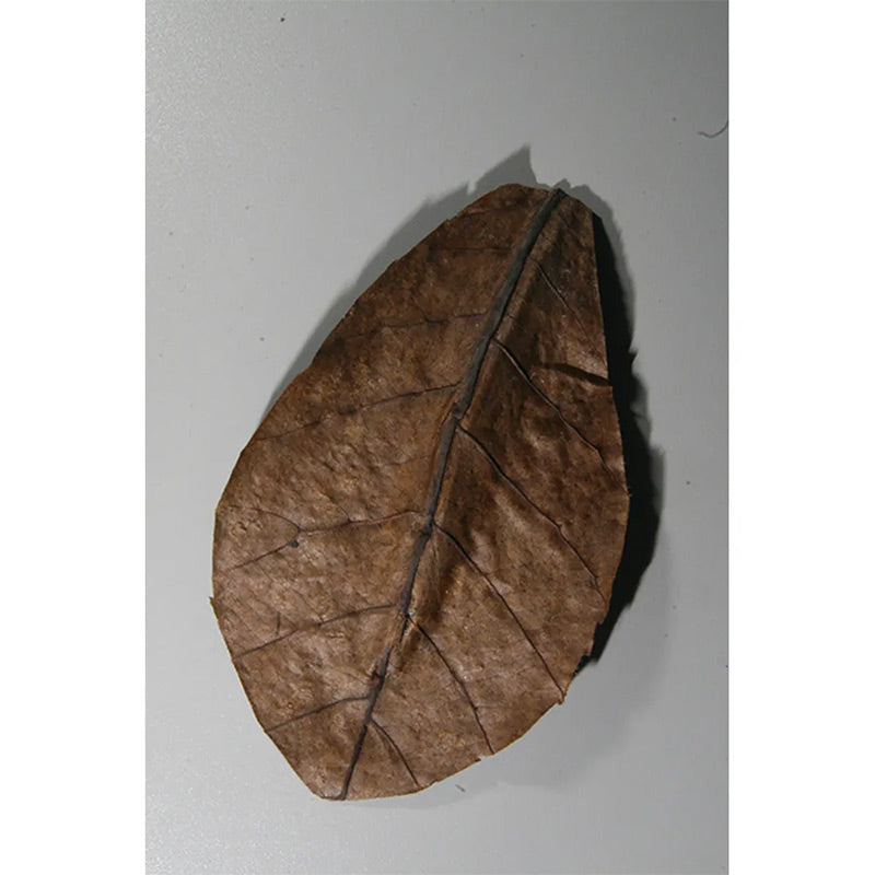 Jbl Nano-Catappa Vandplejemiddrækkevidde 300 l - Maxi Zoo Danmark