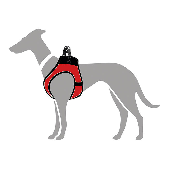 Hunter Hilo Comfort Hundesele hals 37-42cm bryst 40-46cm rød