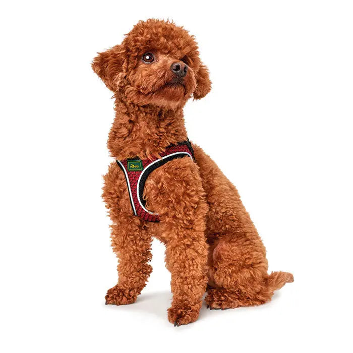 Hunter Hilo Comfort Hundesele hals 48-55cm bryst 52-58cm rød - Maxi Zoo Danmark