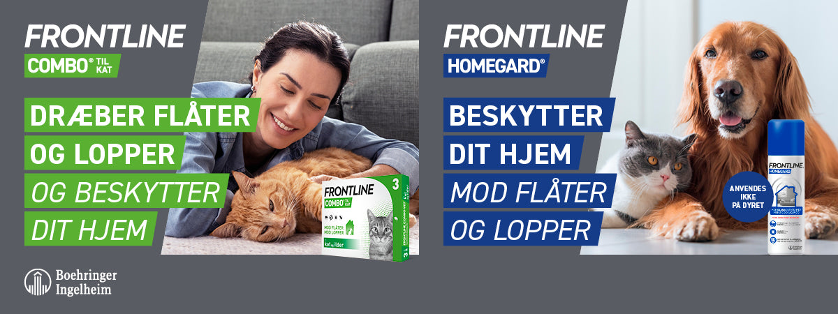 FRONTLINE til hund og kat i Maxi Zoo