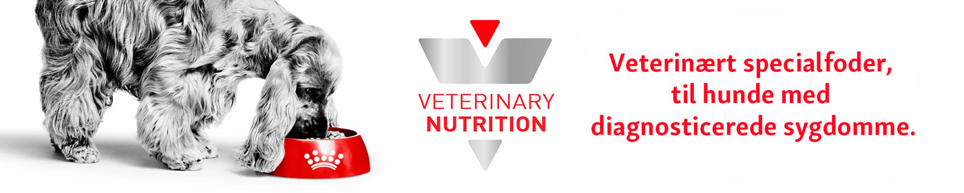 Royal Canin veterinary hundefoder i Maxi Zoo