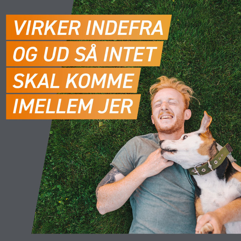 Flåt- & loppemiddel tyggetabletter hund 25-50 kg - 3 stk/pk