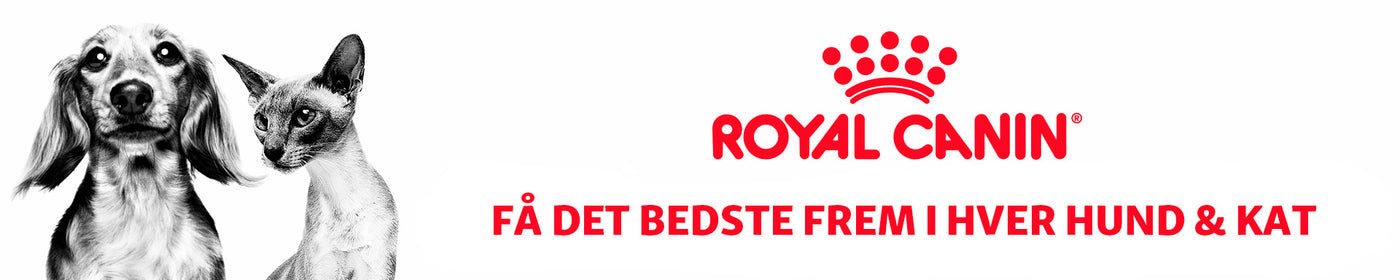 Royal Canin foder til hunde & katte i Maxi Zoo