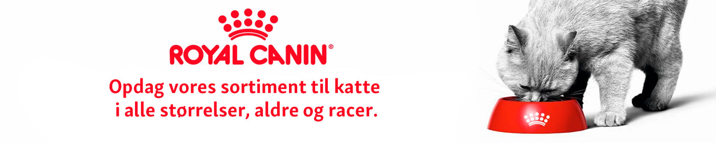Royal Canin kattefoder til alle racer - Maxi Zoo