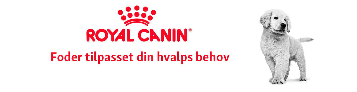 Royal Canin Puppy foder til hvalp i Maxi Zoo