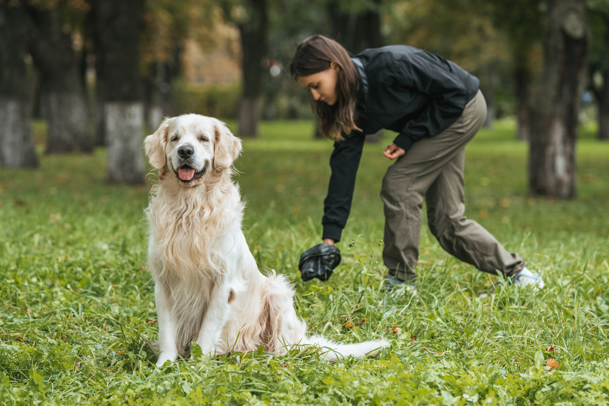 Hvorfor spiser min hund egne andre dyrs afføring?