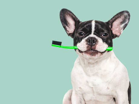 Pleje & sundhed - sund mund