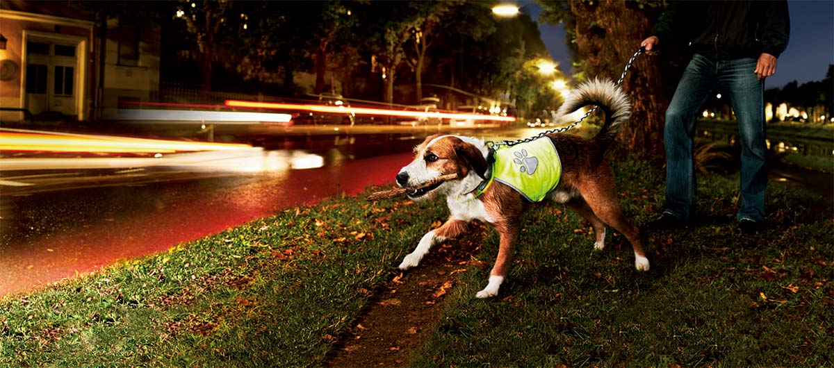 Sikkerhed i mørke for dig og din hund