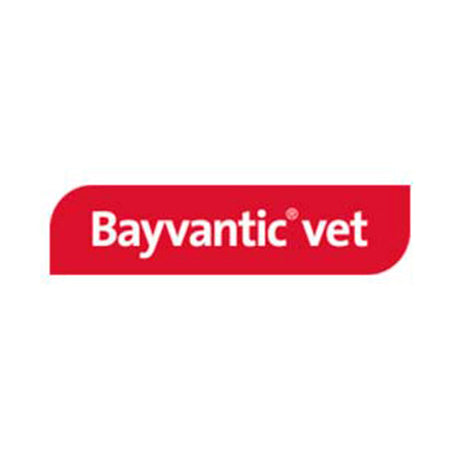 Bayvantic til hund