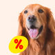 Tilbud til hund