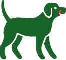 Hverdagspris til hund