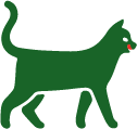 Hverdagspris til kat