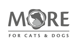 MORE