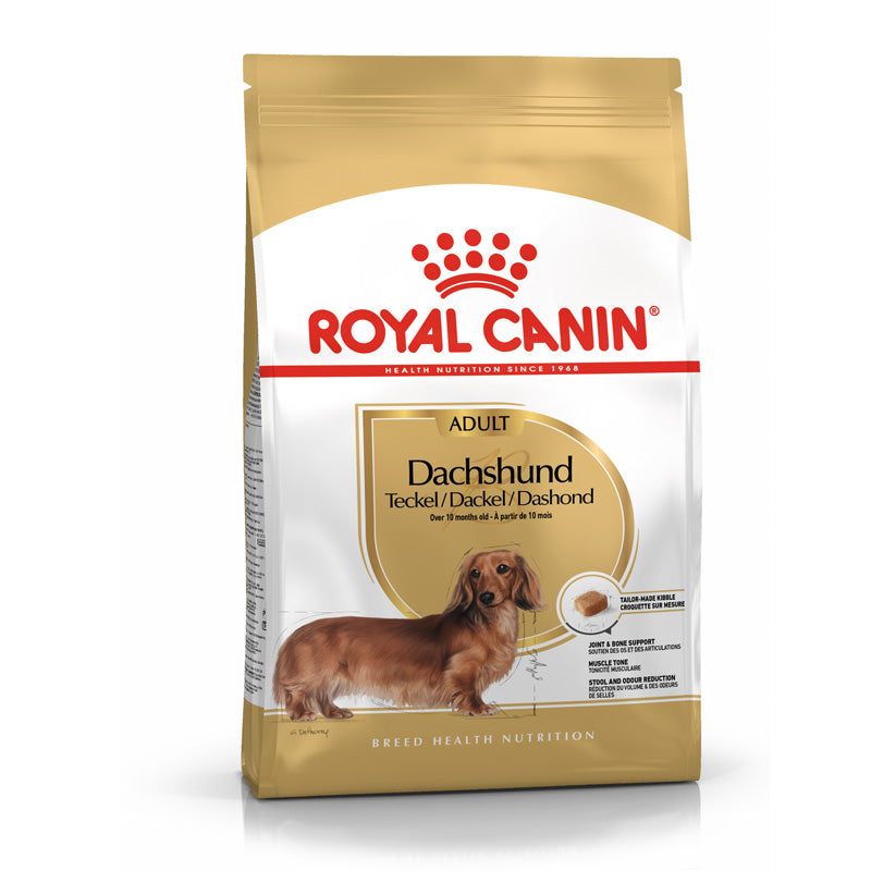 Adult Gravhund