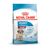 Puppy Medium