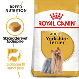 Adult Yorkshire Terrier 7,5 kg
